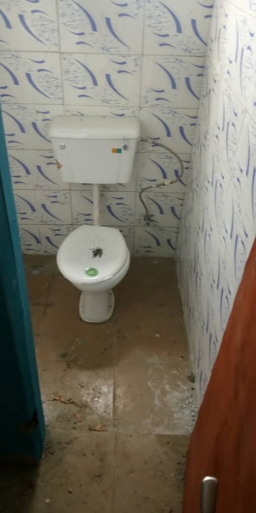 New Renovated Toilet